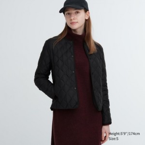 Bundy Uniqlo PUFFTECH Prešívané (Warm Polstrované) Damske Čierne Slovensko | U780073