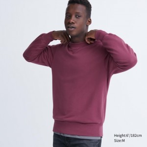 Mikiny Uniqlo Panske Nachový Slovensko | V517916