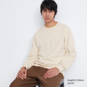 Mikiny Uniqlo Panske Natural Slovensko | I663635