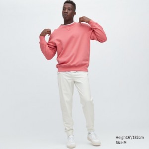 Nohavice Uniqlo Ultra Stretch DRY-EX Jogger (Vysoke) Panske Biele Slovensko | G802697