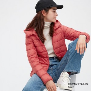 Paperova Bunda Uniqlo Ultra Light (2022 Edition) Damske Oranžové Slovensko | V192896