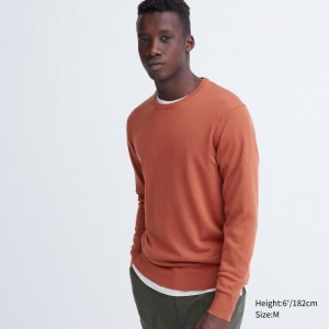 Sveter Uniqlo Extra Fine Merino Crew Neck Long-Sleeve Damske Oranžové Slovensko | I398134