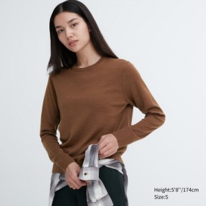 Sveter Uniqlo Extra Fine Merino Crew Neck Long-Sleeve Damske Hnede Slovensko | I392931