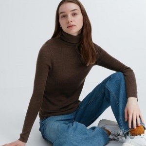 Sveter Uniqlo Extra Fine Merino Rebrovaný Turtleneck Long-Sleeve Damske Tmavo Hnede Slovensko | G320001