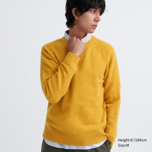 Sveter Uniqlo Premium Lambswool Crew Neck Panske Žlté Slovensko | W639895
