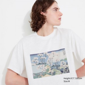 Tricko Grafika Uniqlo Hokusai Remixed UT (Kratke-Sleeve) Panske Biele Slovensko | F990559