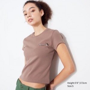 Tricko Grafika Uniqlo Podkategória UT (Kratke-Sleeve) Damske Hnede Slovensko | P539329