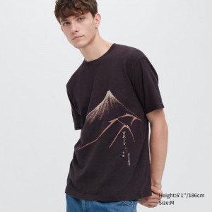 Tricko Grafika Uniqlo Ukiyo-e UT (Kratke-Sleeve) Damske Tmavo Hnede Slovensko | F695119