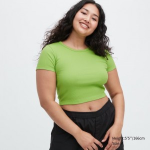 Tricko Uniqlo Rebrovaný Crew Neck Kratke-Sleeve Cropped Damske Zelene Slovensko | X599753