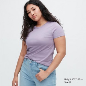 Tricko Uniqlo Supima® Bavlnene Crew Neck Kratke-Sleeve Damske Nachový Slovensko | R052390